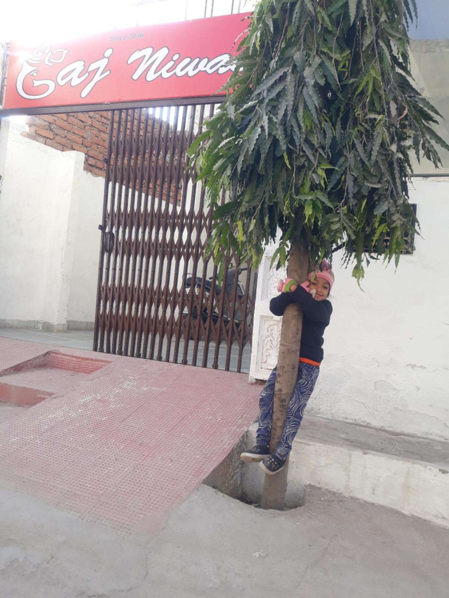 Gaj Niwas Hotel And Restaurant,Udaipur,Rajasthan 외부 사진